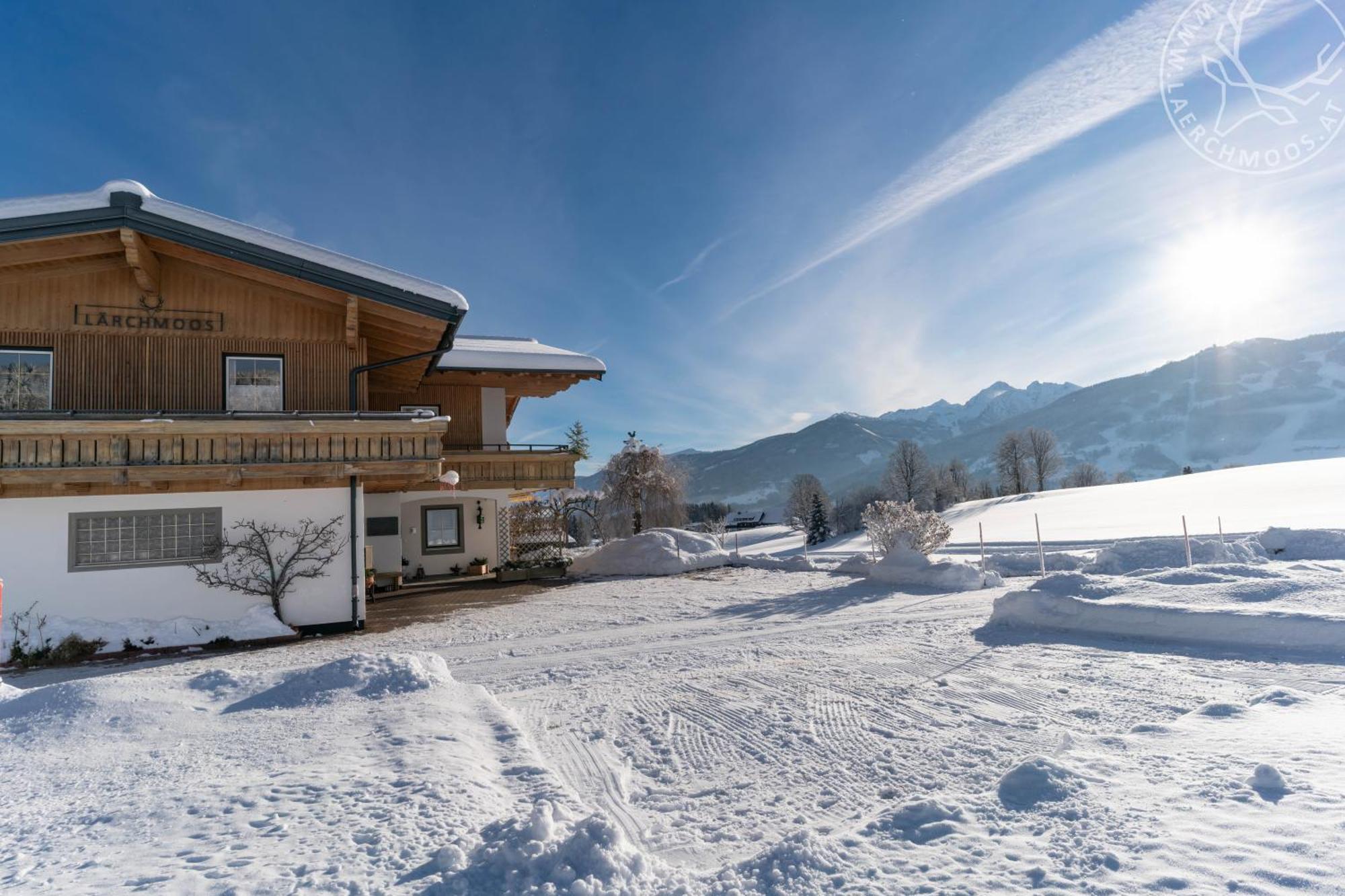 Appartements Laerchmoos Ramsau am Dachstein Exterior foto
